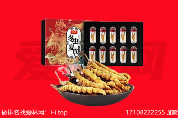 修文县回收虫草.jpg